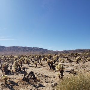 Meet your Posher, Seulki